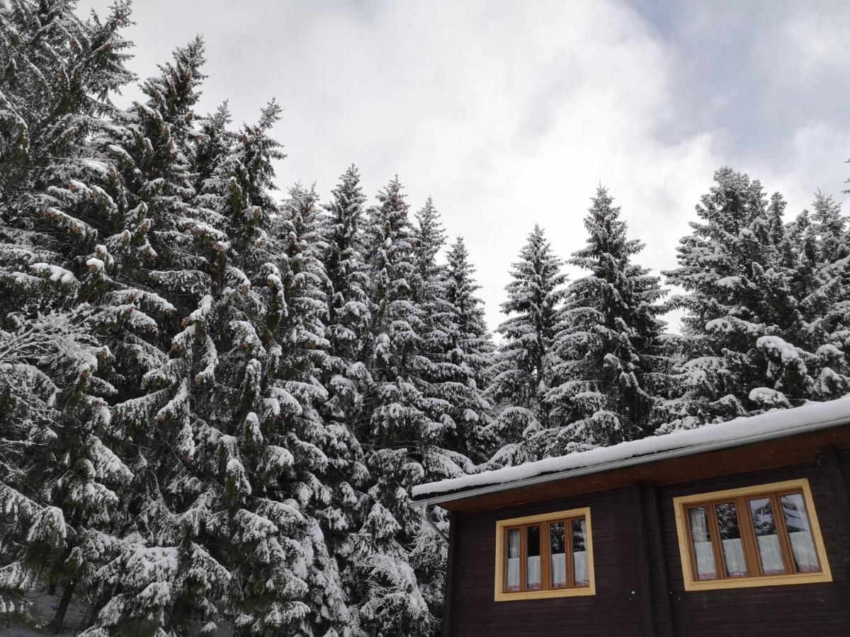 Apartmany Nizke Tatry - Krpacovo Dolna Lehota Exterior foto